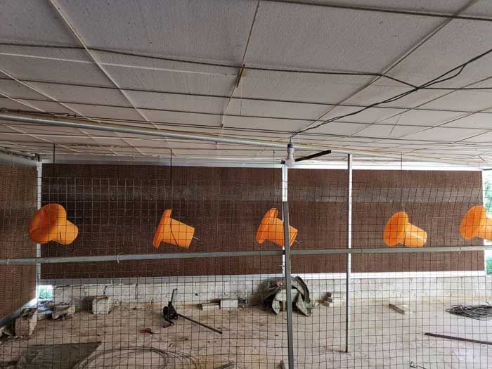 雞棚水簾墻降溫