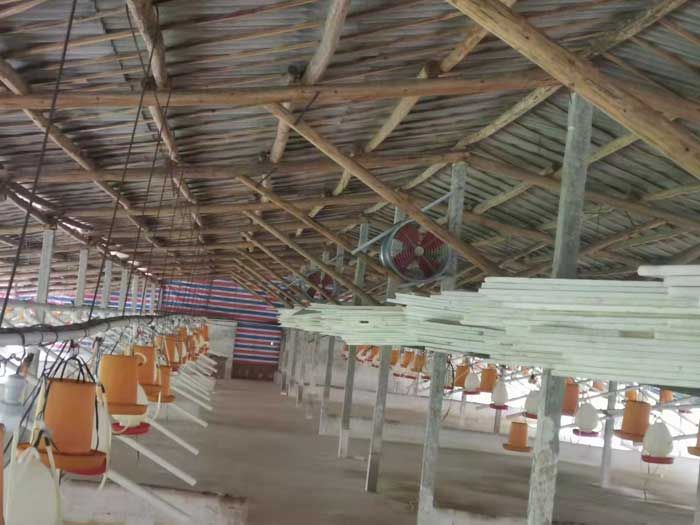 肉雞養(yǎng)殖場通風(fēng)除臭